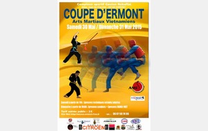COUPE D'ERMONT ARTS MARTIAUX VIETNAMIENS